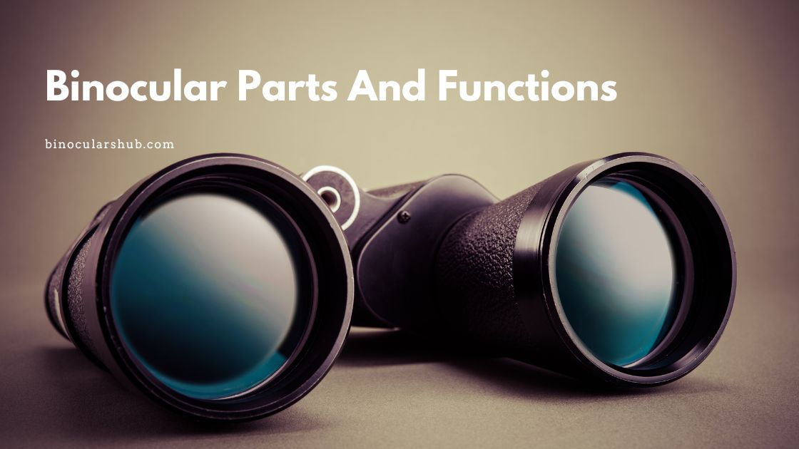 Binocular Parts And Functions