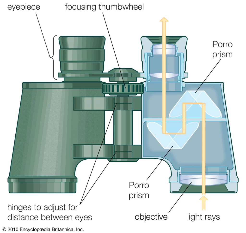 Binocular Parts And Functions 2 Binocular Parts And Functions Explained