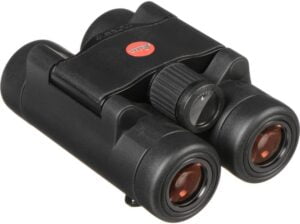 best binoculars for city viewing: Leica Ultravid 8x20 BR Binoculars