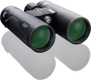 best binoculars for city viewing: Bushnell Legend Ultra HD 10x42 Binoculars