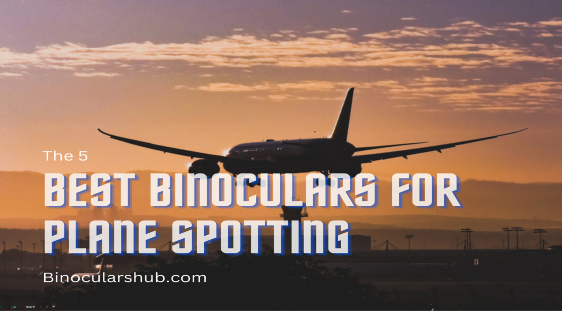 The 5 Best Binoculars for Plane Spotting