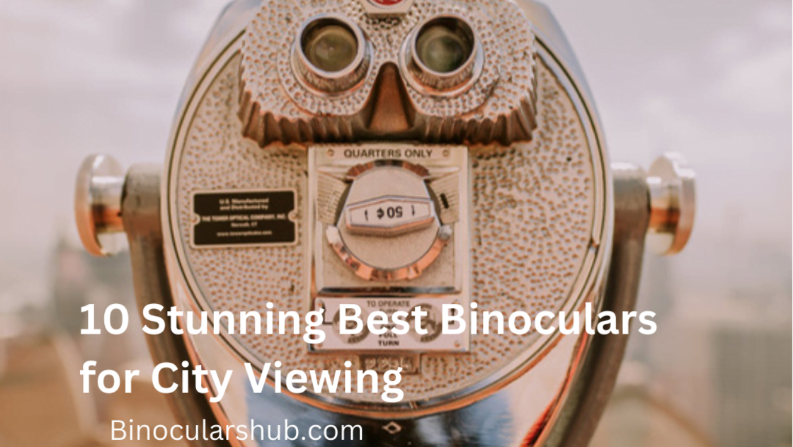 Best Binoculars for City Viewing